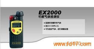 EX2000ȼ(ȼǵʹ)
