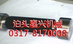 (湤)