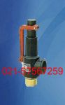 ӦA27W-10Tʽȫ