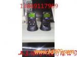 RAEĺһ屨 PGM-2400