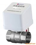 ӦDDF2-12100-DN25ߵ綯