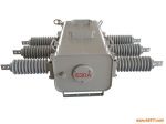 PGS SF6Եɿ24KV·