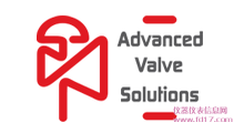Advanced Valve Solutions BV (AVS)