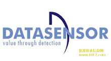 DATASENSOR紫