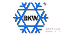 ¹BKW
