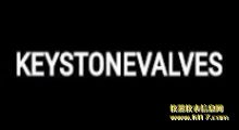KEYSTONE KEYSTONEֹ
